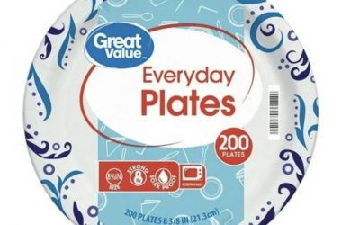 HOT! 200 Disposable Paper Plates Only $9.97!